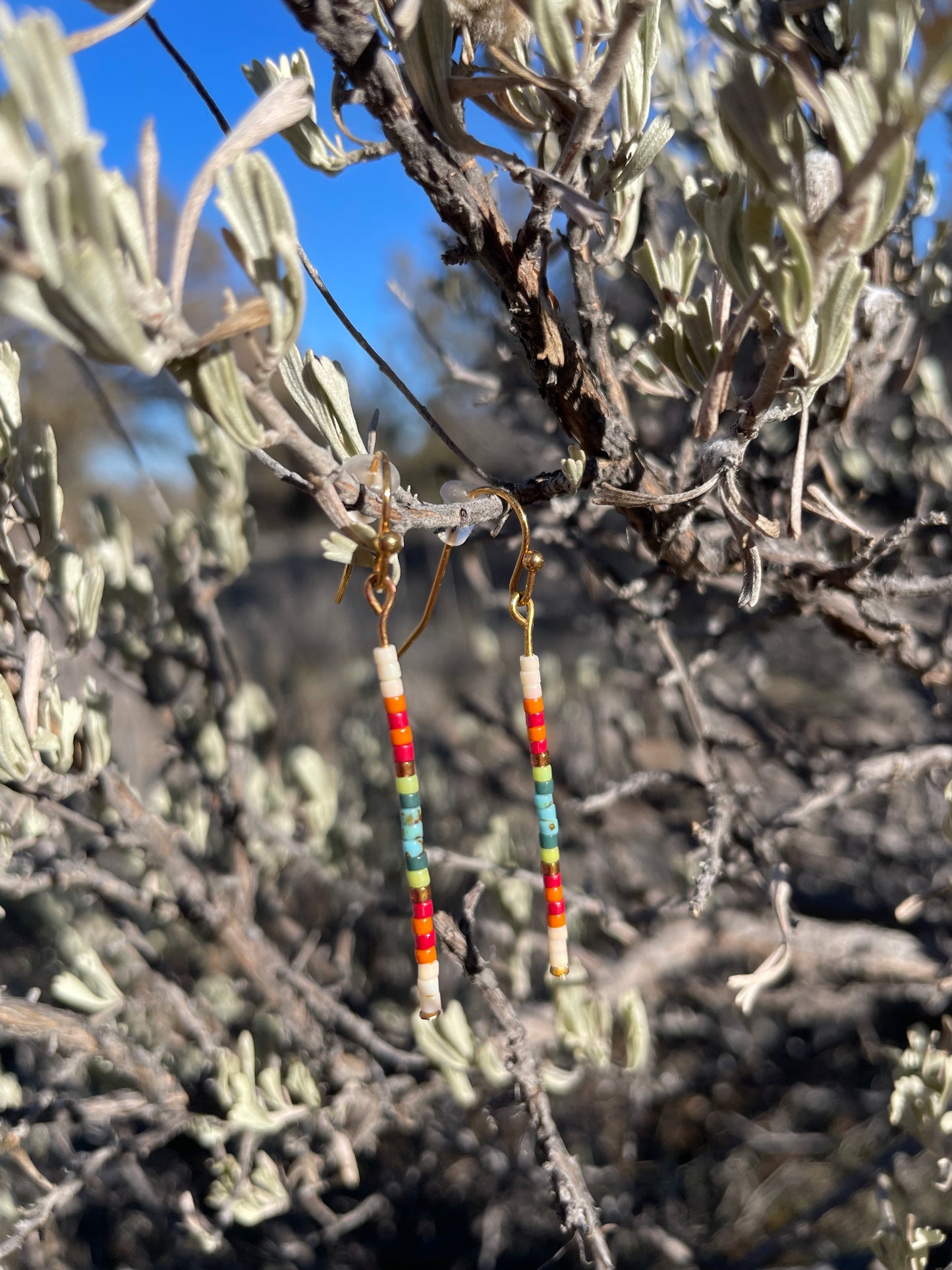 Desert Vista Stripe Earrings